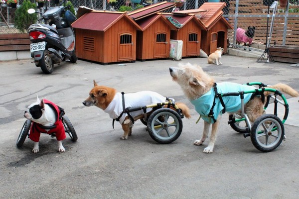 三节战报：乐福单节13分难救主 骑士80-90懦夫：ky com(图2)