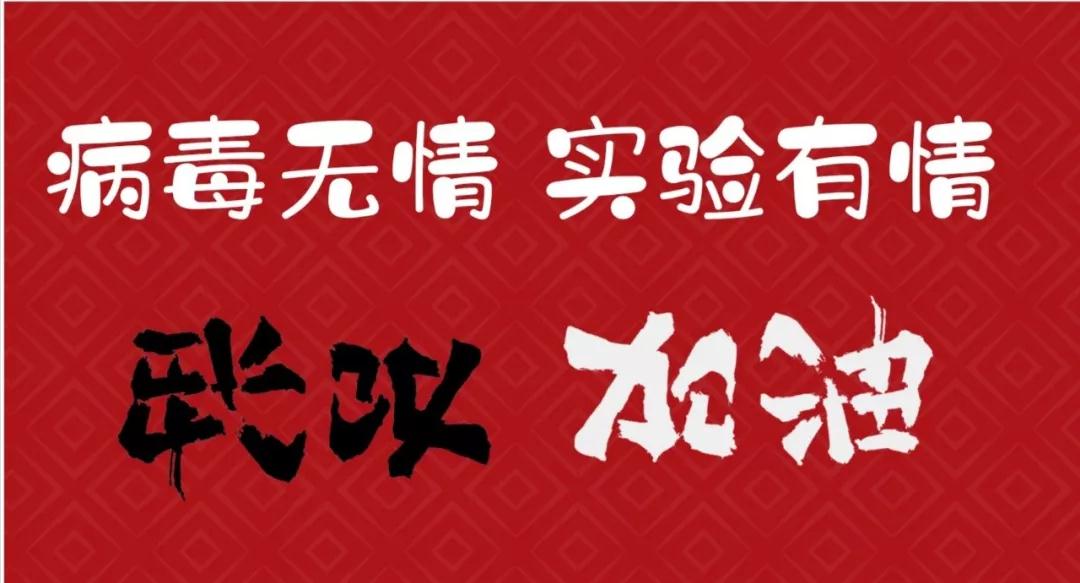 字母哥多次遭到塔克的无情封盖 最终雄鹿击败火箭【kycom】(图1)