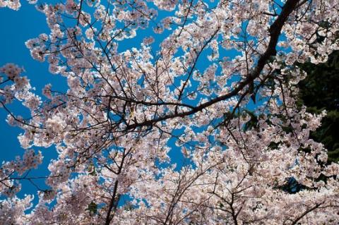 NBA公布新秀最佳阵容-kycom(图1) ky com