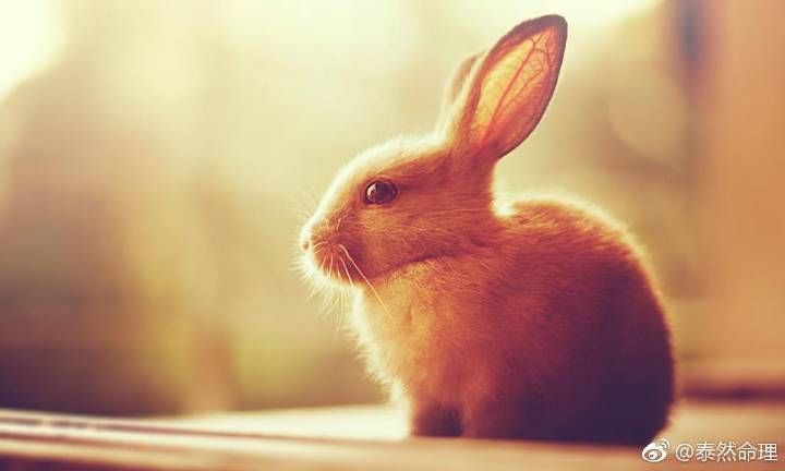 周末来几道美食犒劳一下自己，做法简单，食材便宜，而且美味_ky com(图2)