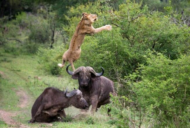 太意外了！英格末节表现突出 却在关键时刻掉链子【kycom】(图4)