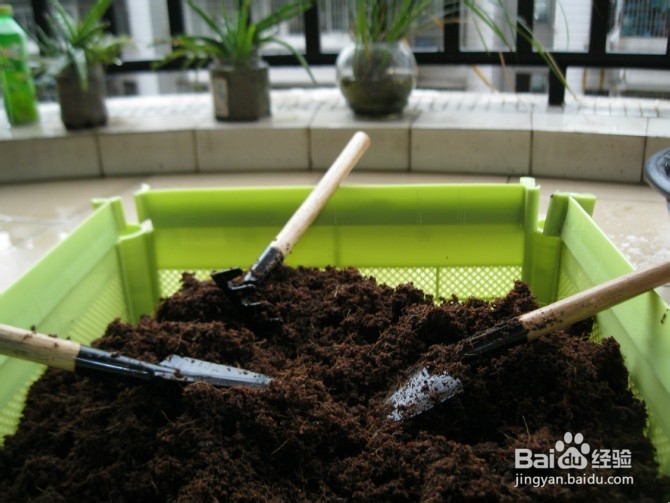 巴莫特伤退周琦3封盖 灯泡联手43分火箭胜湖人-ky.com(图1)