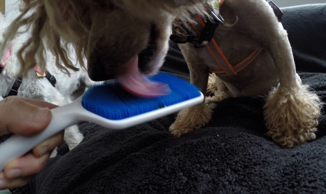 ky com|格林遭犯规危机送妙传回暖 肘击吃恶犯振臂泻火(图1)