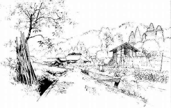 ‘ky.com’大暑养生－烤紫薯的做法_大暑养生—烤紫薯_大暑养生－烤紫薯怎么做_吾爱烘焙的菜谱(图2)