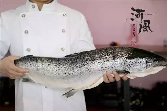 kycom：尼克·杨因不配合警方调查被捕(图1)