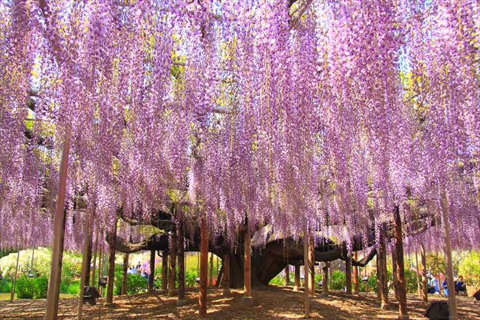 ky.com-9日德甲推荐:莱比锡红牛VS勒沃库森(图2) ky.com-9日德甲推荐:莱比锡红牛VS勒沃库森(图2)