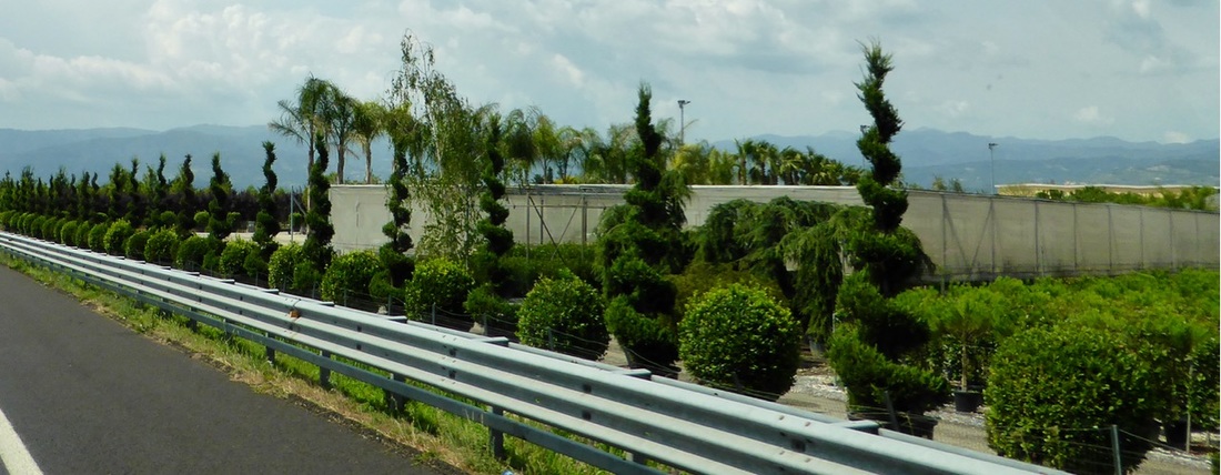 ky.com_麦科勒姆42分独木难支 灰熊替补发威力擒开辟者(图3)