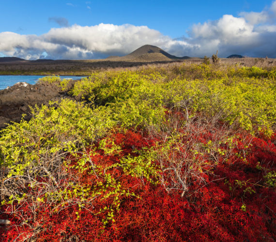 ky com|约什·哈特不满自己的防守表现(图4)