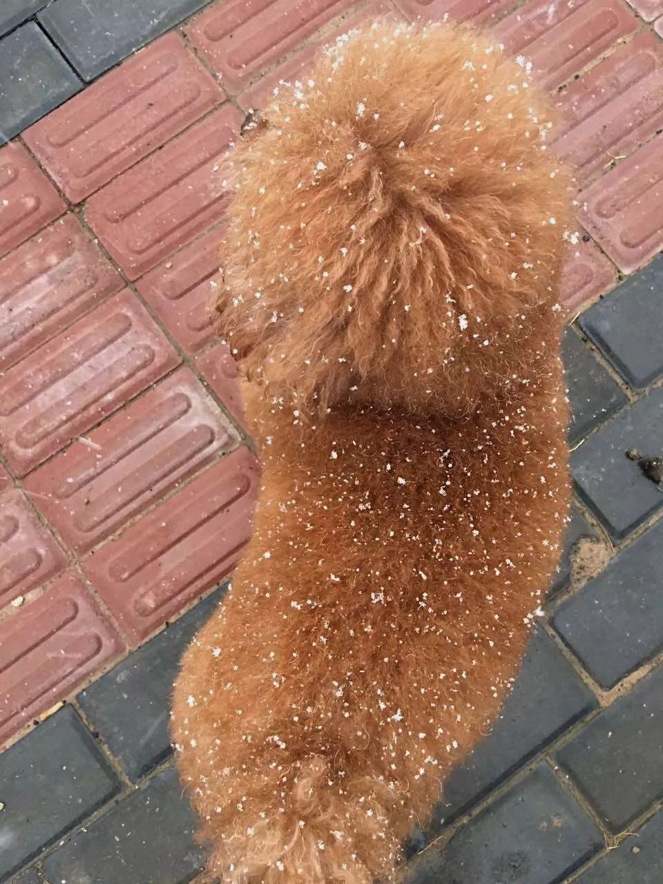 火箭10大高光时辰：哈登砍60+分三双 逆转懦夫-ky com(图1)