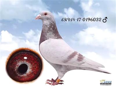 ky.com：美食精选：凉拌牛腱、红焖鸡翅、辣白菜豆腐汤的做法(图2)