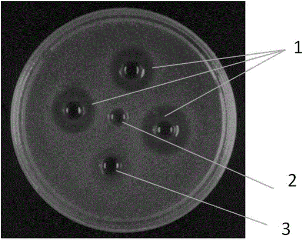 ky com|香卤鸭爪的做法_香卤鸭爪怎么做_铕辰的小小厨房的菜谱(图2) ky com|香卤鸭爪的做法_香卤鸭爪怎么做_铕辰的小小厨房的菜谱(图2)