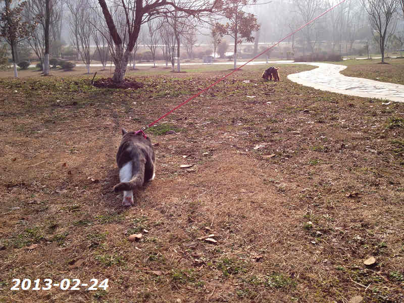 kycom-越南春卷的做法_越南春卷怎么做_eileen장的菜谱(图4)