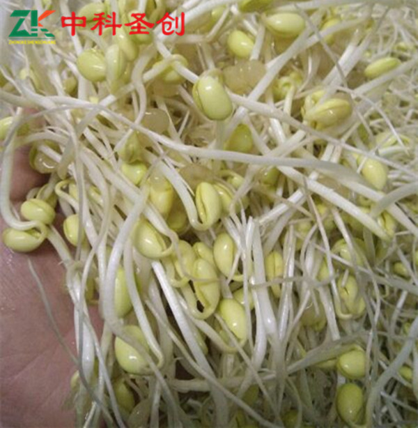 kycom:猫耳朵的做法_猫耳朵怎么做_Heartつs丶的菜谱(图2) kycom:猫耳朵的做法_猫耳朵怎么做_Heartつs丶的菜谱(图2)