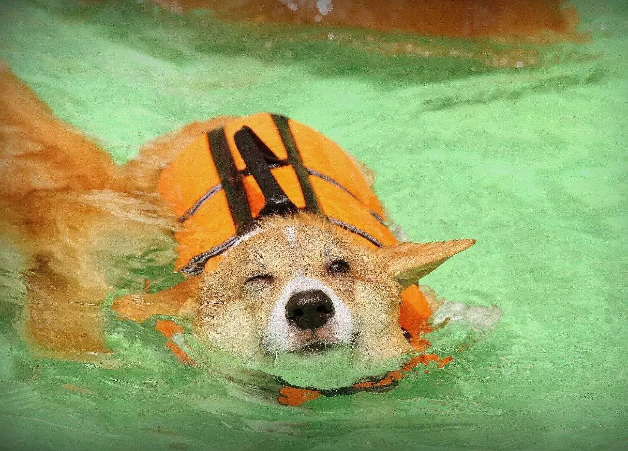 【ky.com】微波炉版爆米花的做法_微波炉版爆米花怎么做_Meggy跳舞的苹果的菜谱(图1)