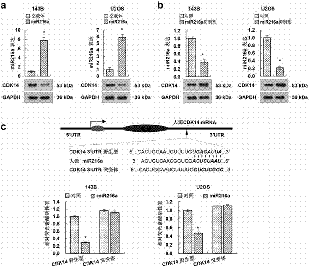 哈登怒斥裁判‘ky com’(图2)