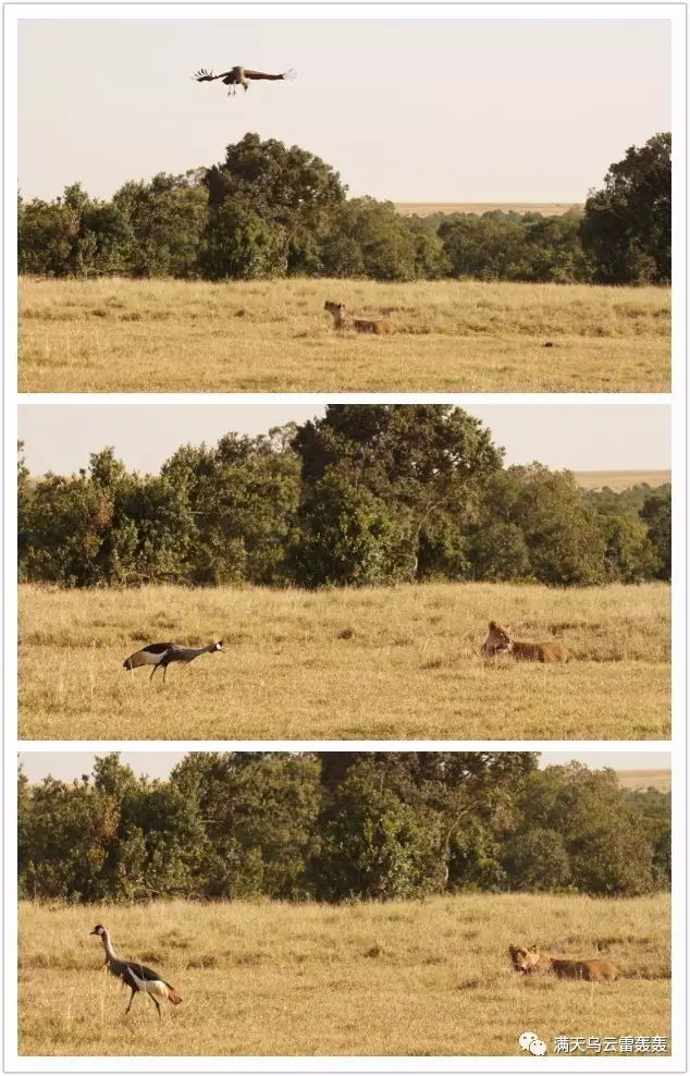 ky com-卢西奥：海因克斯能给拜仁带来很大帮助(图1)