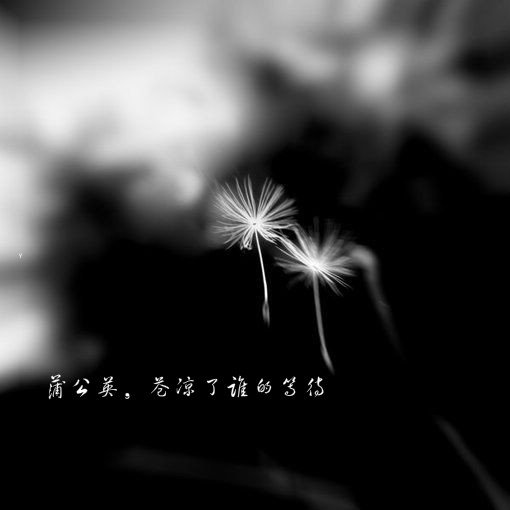 “kycom”香煎馒头片的做法_10分钟快手早餐【香煎馒头片】_香煎馒头片怎么做_杜鹃花美食的菜谱(图1) “kycom”香煎馒头片的做法_10分钟快手早餐【香煎馒头片】_香煎馒头片怎么做_杜鹃花美食的菜谱(图1)