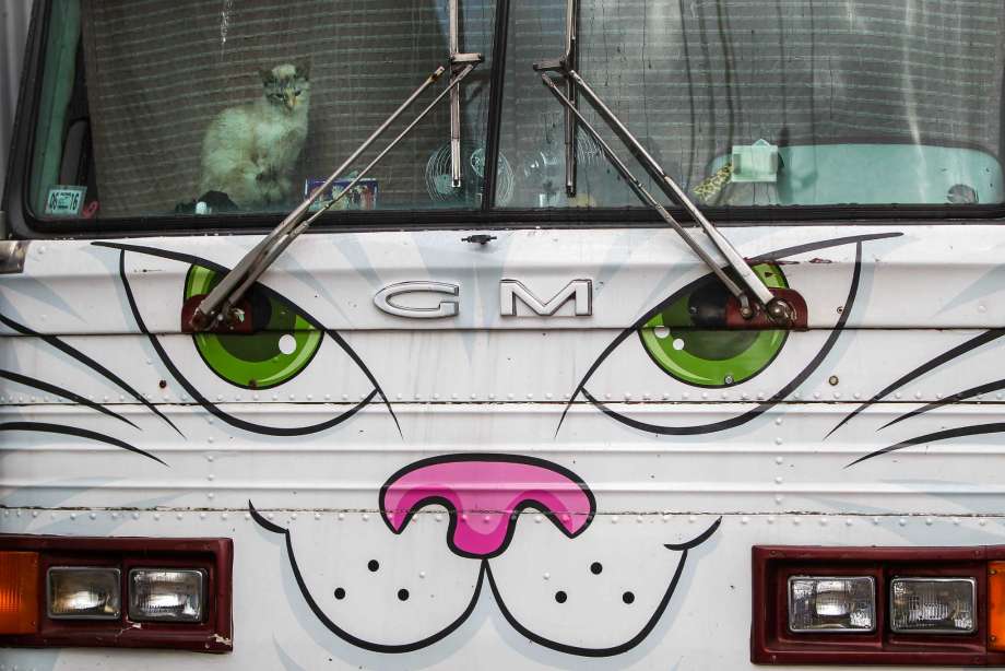 格里芬与特里尔齐心协力 最终活塞大胜尼克斯取得3连胜|kycom(图1)