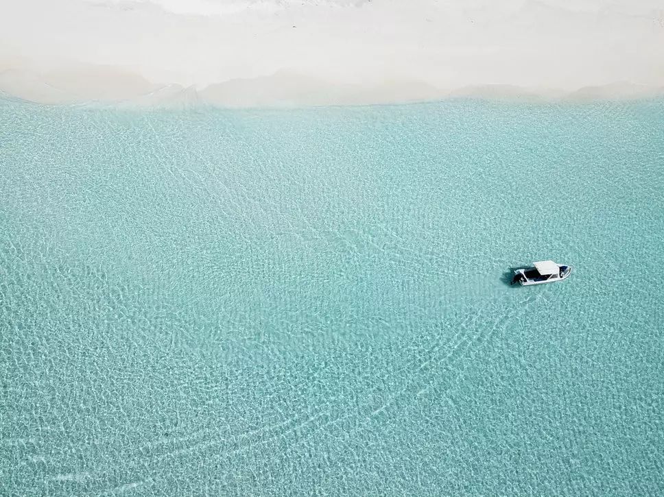 kycom|原创 美食严选：干炒杏鲍菇，肉丸烧茄子，五味牛肉，豆腐香菇汤的做法(图3)