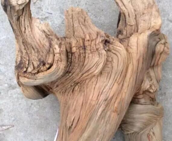 波列高憧憬未来‘ky.com’(图4) ky com