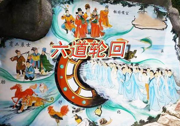 ky.com:四月美食推荐:香蕉春卷,干锅香辣鱼,清炒海鲜菇的做法(图2) ky.com:四月美食推荐:香蕉春卷,干锅香辣鱼,清炒海鲜菇的做法(图2)