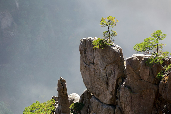 五彩蔬菜肉串的做法_五彩蔬菜肉串怎么做_徐京辉-的菜谱|kycom(图3)