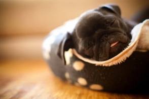 “ky com”
2021.01.11：给Siripan妈妈做罗宋汤+葱花饼(图1)