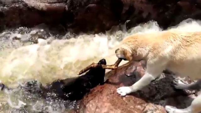 利拉德表态与威少关系OK：ky com(图1)