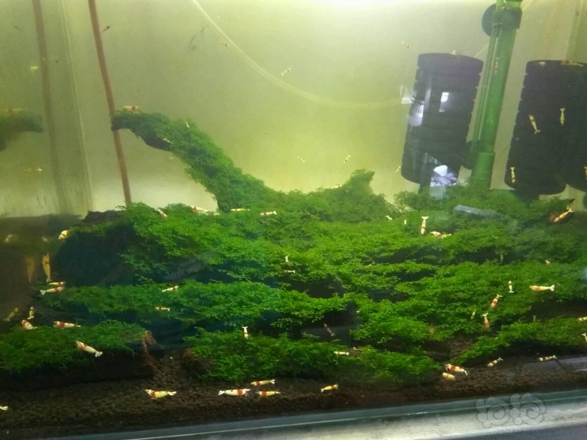 “ky.com”路威砍25分武切维奇两双 快船力克魔术迎两连胜(图1)