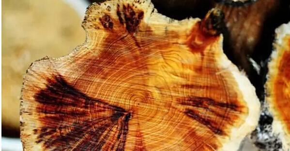 9日德甲推荐:莱比锡红牛 VS 美因茨‘ky com’(图1) 9日德甲推荐:莱比锡红牛 VS 美因茨‘ky com’(图1)