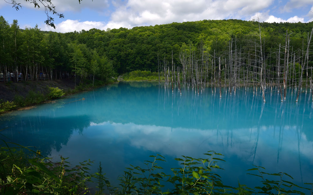 内内合同细节公布【ky.com】(图4)