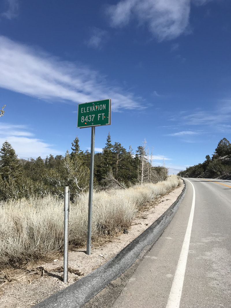 美食推荐：蚝油嫩豆腐、肉炒腐竹木耳、油焖大虾、红烧对虾的做法-ky.com(图3)