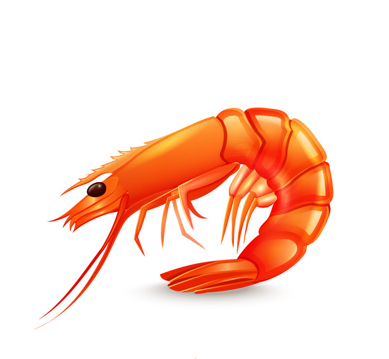 kycom|德罗赞与阿德同心协力，最终马刺主场擒掘金(图3)