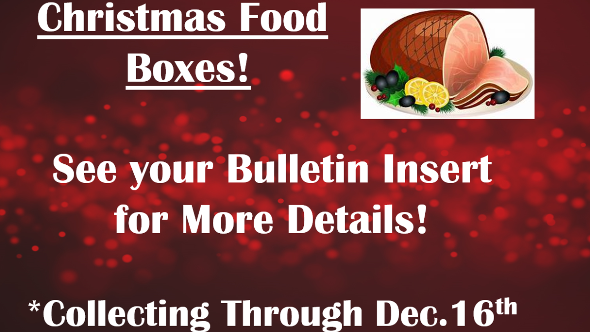 体育总监盼韦尔纳世界杯前续约|kycom(图2) ky com