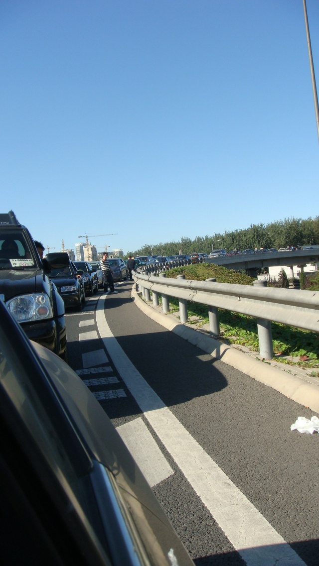 豌豆连续2月获德甲月最佳 3场轰5球!曼联后悔吗?:kycom(图2) ky com