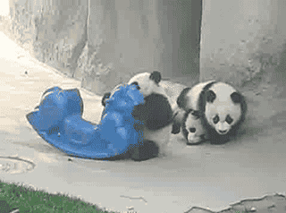 “kycom”芝麻酱饼的做法_【山东】芝麻酱饼_芝麻酱饼怎么做_浅浅_眉的菜谱(图2) ky com