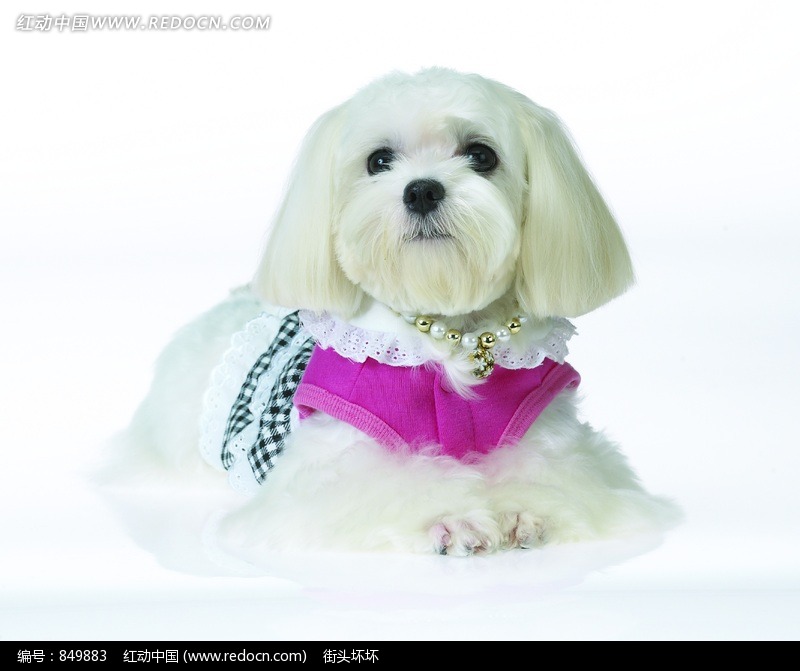 山药紫薯泥的做法_山药紫薯泥怎么做_小董妞@厨房的菜谱【ky com】(图3)