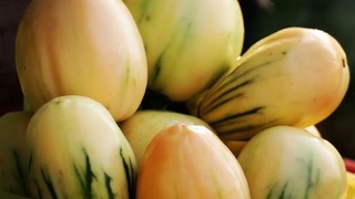 【kycom】受伤+离场+回归+失关键球 汤普森倾其一切仅10分(图4)