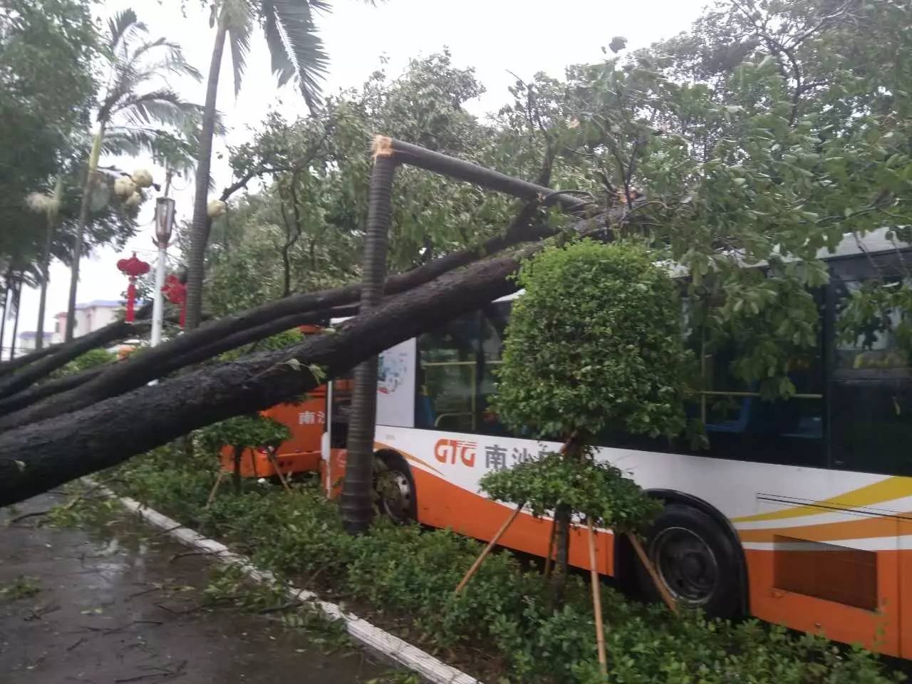 16日德甲推荐：不莱梅VS汉堡_ky com(图1)