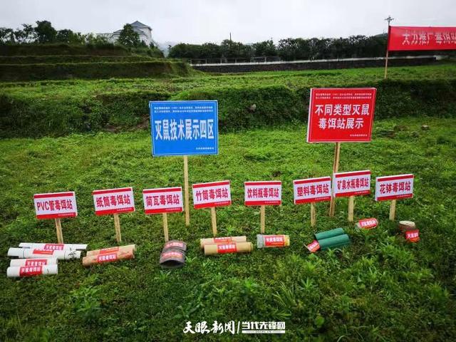 ‘ky.com’美食推荐：香辣土豆片、白菜炖豆腐、茶香鸡翅、烧老豆腐粒的做法(图3)