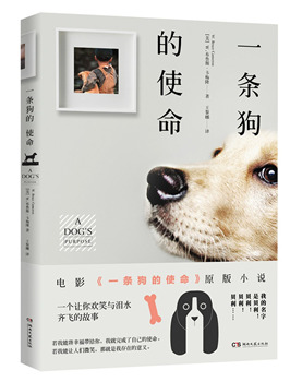 ky.com-精彩赛事:哈登 保罗 德罗赞三人表现突出,最终火箭大胜马刺(图1) ky.com-精彩赛事:哈登 保罗 德罗赞三人表现突出,最终火箭大胜马刺(图1)
