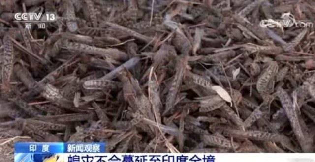 骑士询价莱昂纳德无进展‘ky.com’(图1)